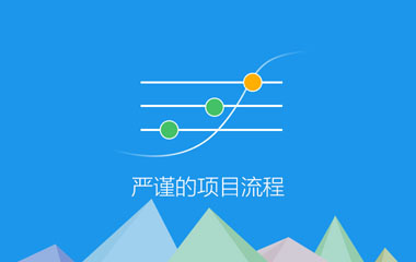 严谨的项目流程